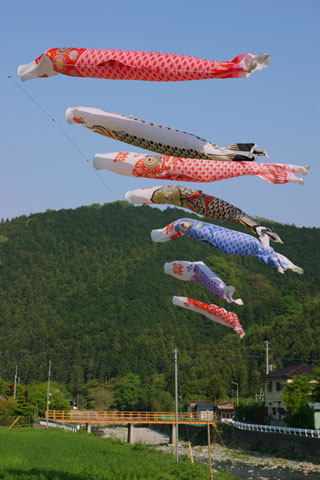 030501_410h_titibu-yasudo-koinobori