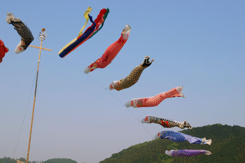 030503_452h_titibu-yasudo-koinobori