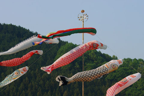 030503_479h_titibu-yasudo-koinobori