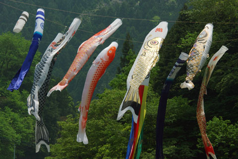 030504_044h_titibu-sakamoto-koinobori
