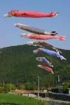 030501_410h_titibu-yasudo-koinobori