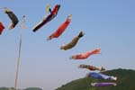 030503_452h_titibu-yasudo-koinobori