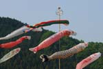 030503_479h_titibu-yasudo-koinobori