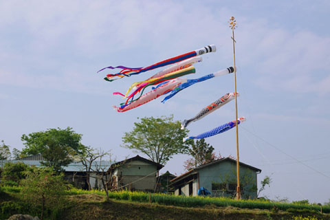 030426_301ogawa-simoyokota-koinobori