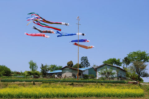 030501_093ogawa-simoyokota-koinobori