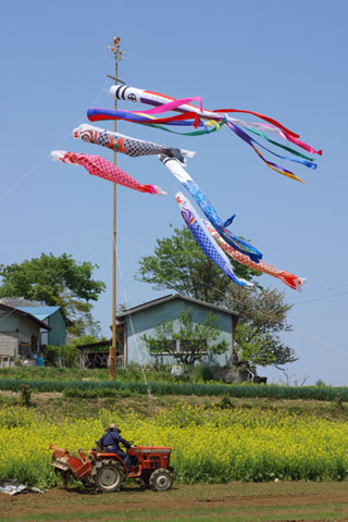 030501_130ogawa-simoyokota-koinobori
