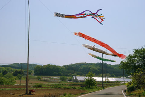 030501_236ogawa-koya-koinobori