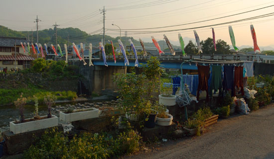 030503_488ogawa-ogawa-koinobori