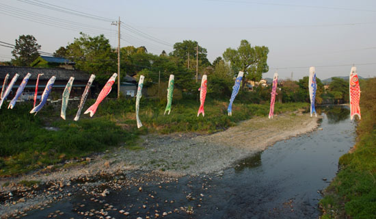030503_507ogawa-ogawa-koinobori
