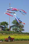 030501_130ogawa-simoyokota-koinobori
