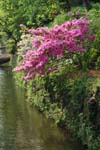 030509_121ogawa-simosato-suiro
