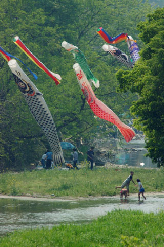 030503_275ranzan-kamagata-ninose