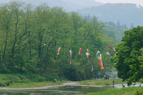 030503_281ranzan-kamagata-ninose